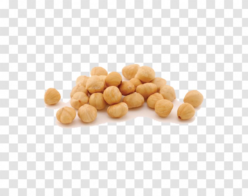 Macadamia Vegetarian Cuisine Peanut Hazelnut Nuts - Bean - Salad Transparent PNG