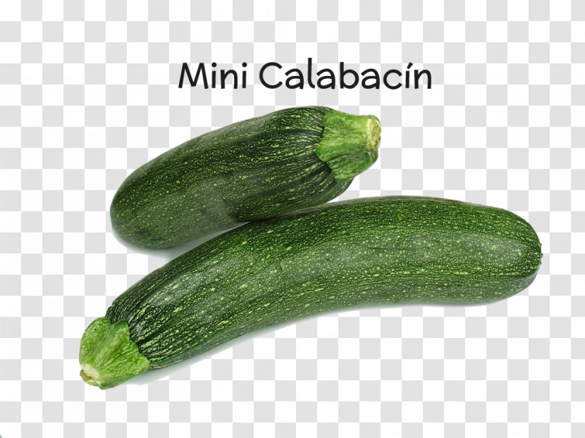 Cucurbita Pepo Calabaza Vegetable Cucumber Zucchini - Gherkin Transparent PNG