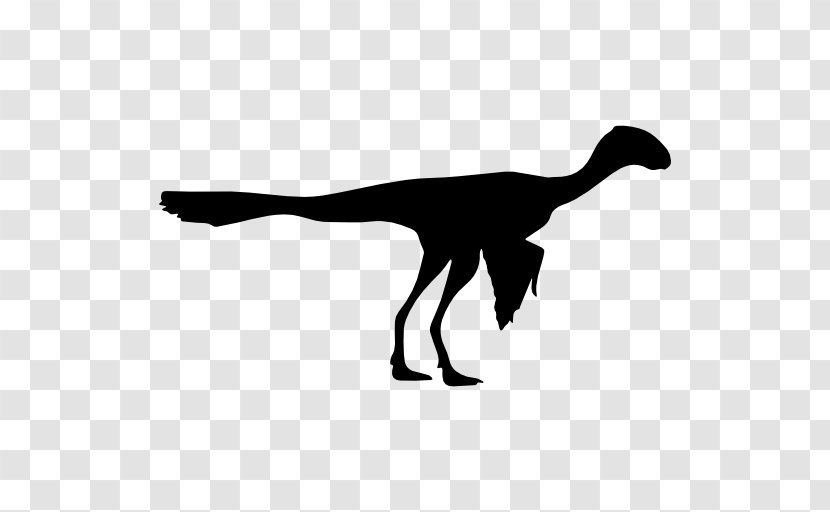 Archaeopteryx Bird Epidexipteryx Dinosaur Clip Art - Edmontosaurus Transparent PNG