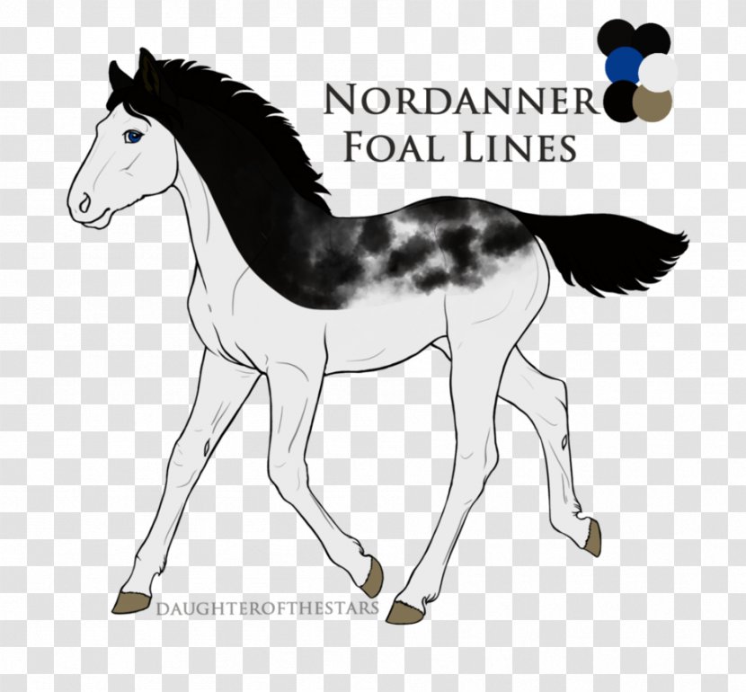 Mane Foal Colt Mustang Pony Transparent PNG