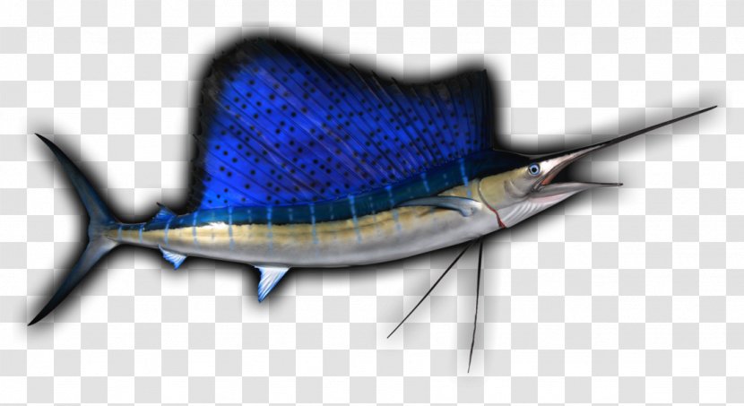 Swordfish Drawing Paper Ballpoint Pen Clip Art - Fish - Brook Trout Transparent PNG