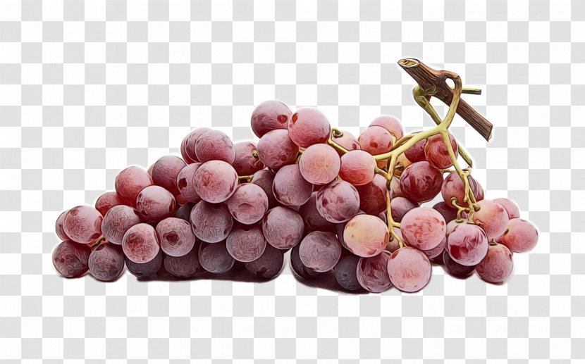 Grape Grapevine Family Fruit Vitis Seedless - Superfood - Sultana Transparent PNG