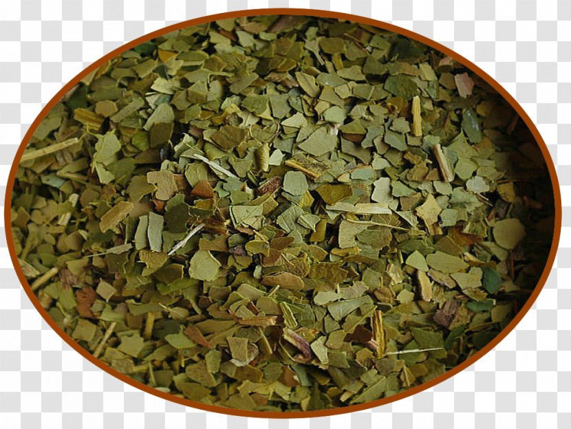 Tea Yerba Mate Caffeinated Drink Oolong Transparent PNG