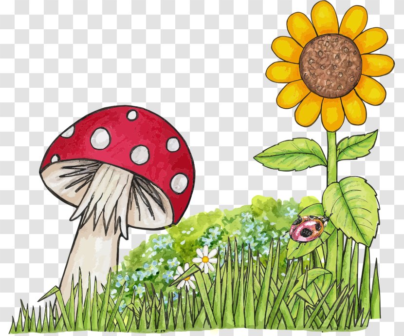 Mushroom Pixabay Drawing Illustration - Floral Design - Nature Scene Cliparts Transparent PNG