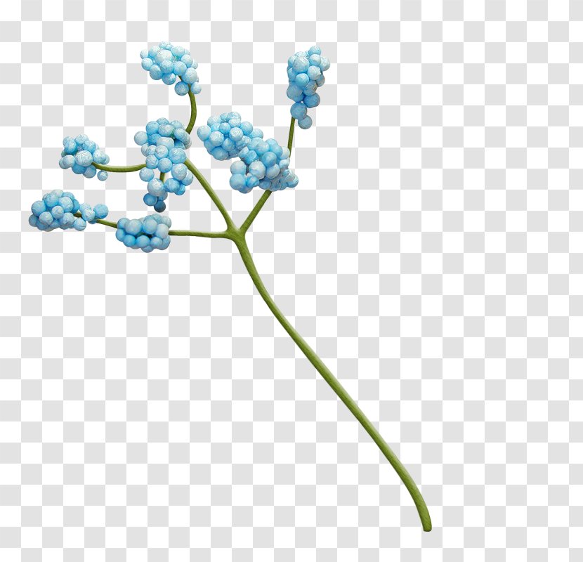 Blue Flower Mavi - Google Images Transparent PNG