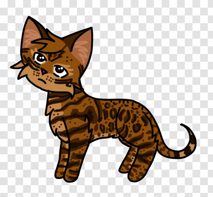 Whiskers Kitten Tabby Cat Domestic Short-haired Wildcat - Shorthaired Transparent PNG