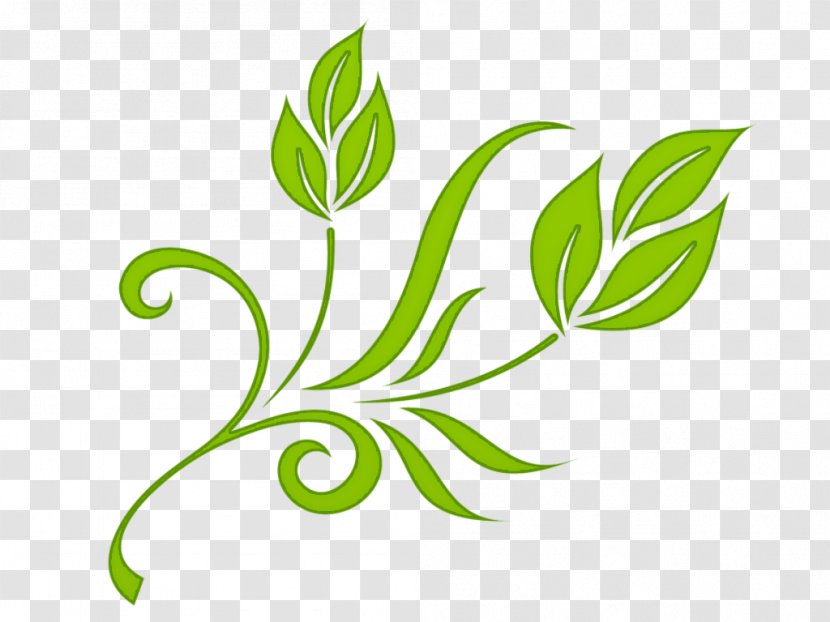 Quran Surah Yusuf - Tree - Green Floral Transparent PNG