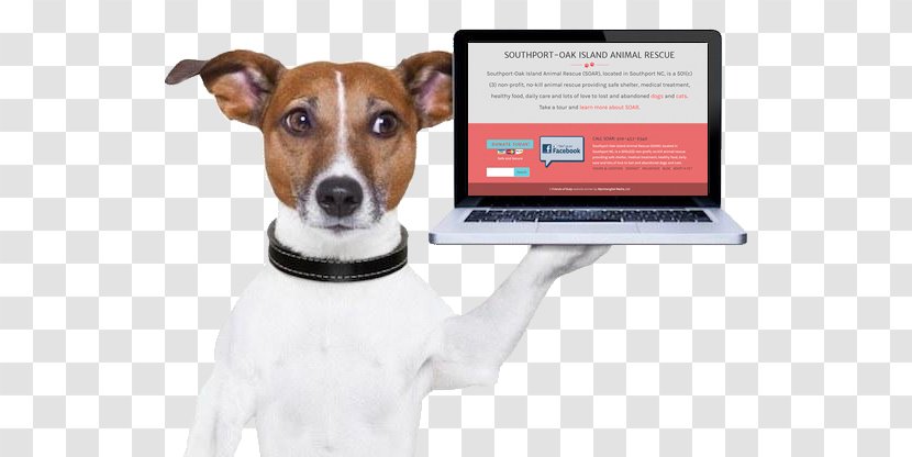 Dog Pet Credit Card Stock Photography Debit - Adoption Transparent PNG