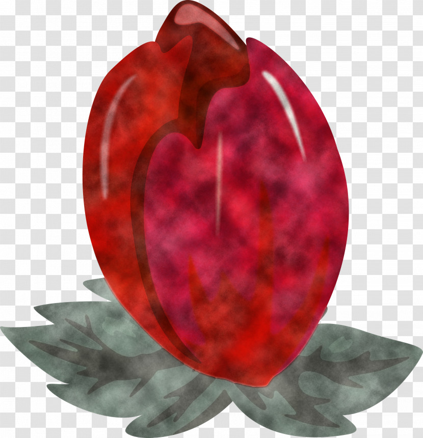 Red Leaf Ruby Gemstone Plant Transparent PNG