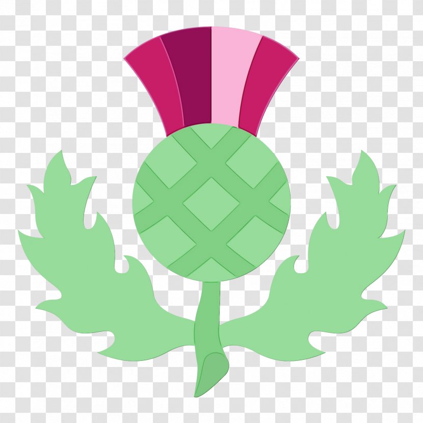 Leaf Watercolor - Emblem Symbol Transparent PNG