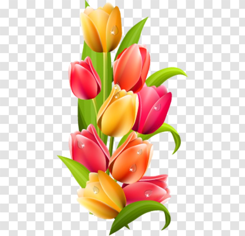 Flower Tulip Clip Art - Plant Transparent PNG
