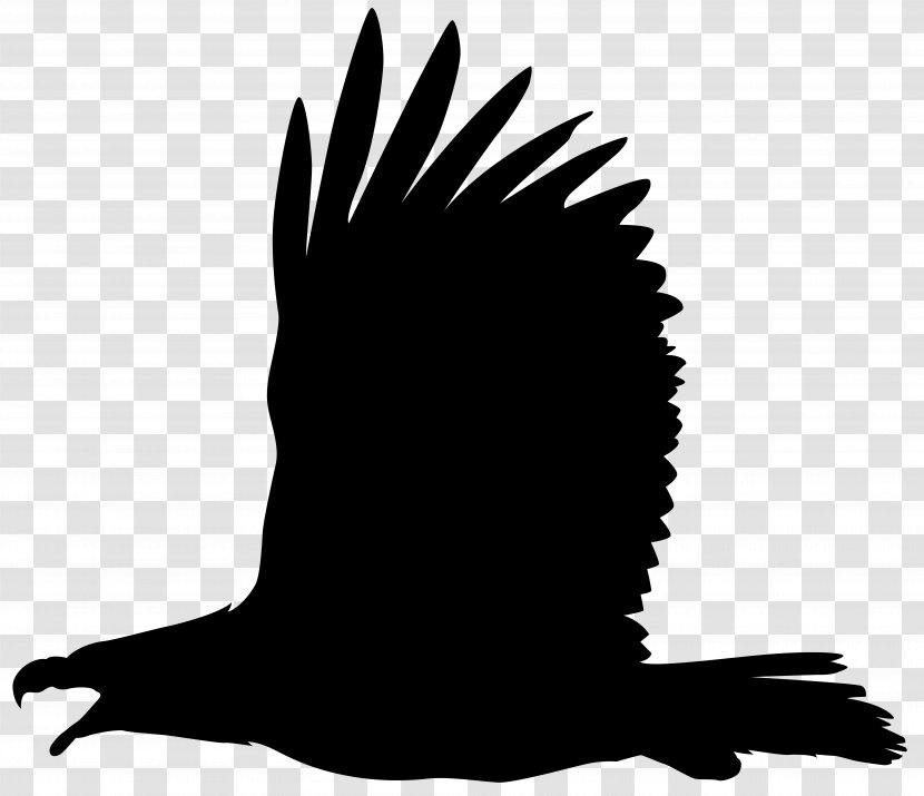 Bald Eagle Bird Clip Art - Blackandwhite Hawkeagle - Silhouette Cliparts Transparent PNG