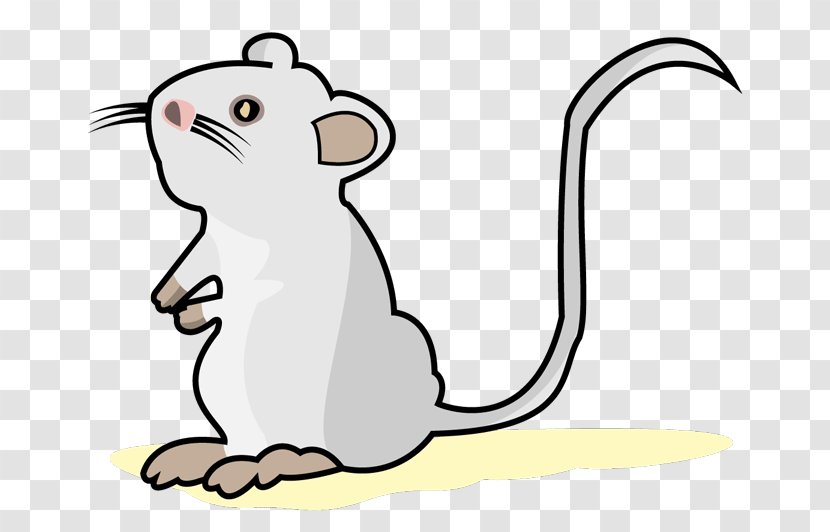 Mouse Whiskers Rat Cat Clip Art - Tail Transparent PNG