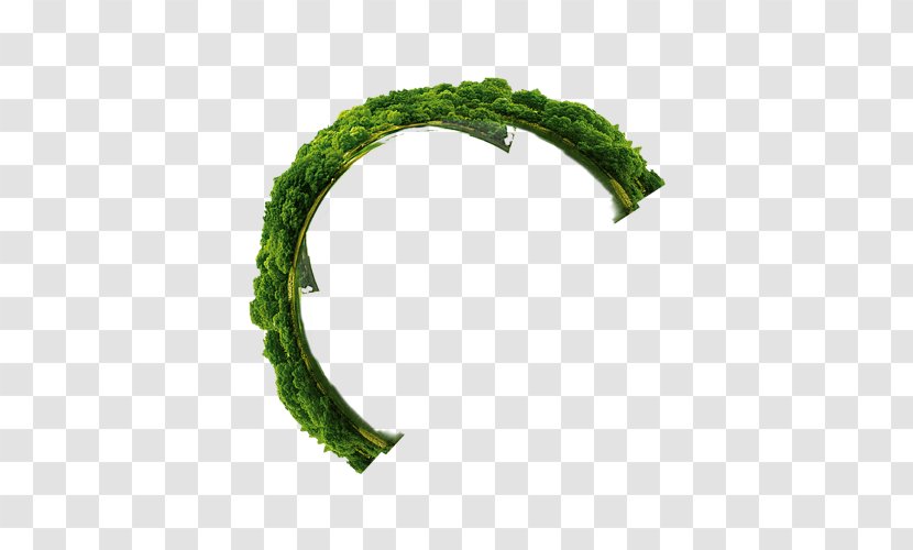 Semicircle Green Annulus - Designer - FIG Ring Transparent PNG