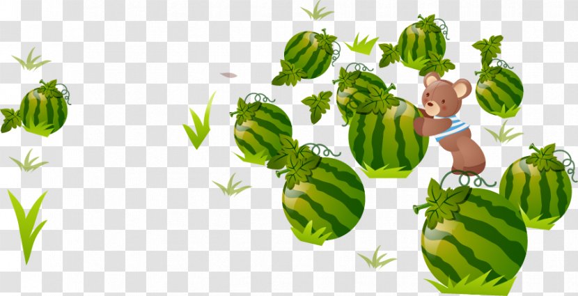 Watermelon Fruit - Food Transparent PNG