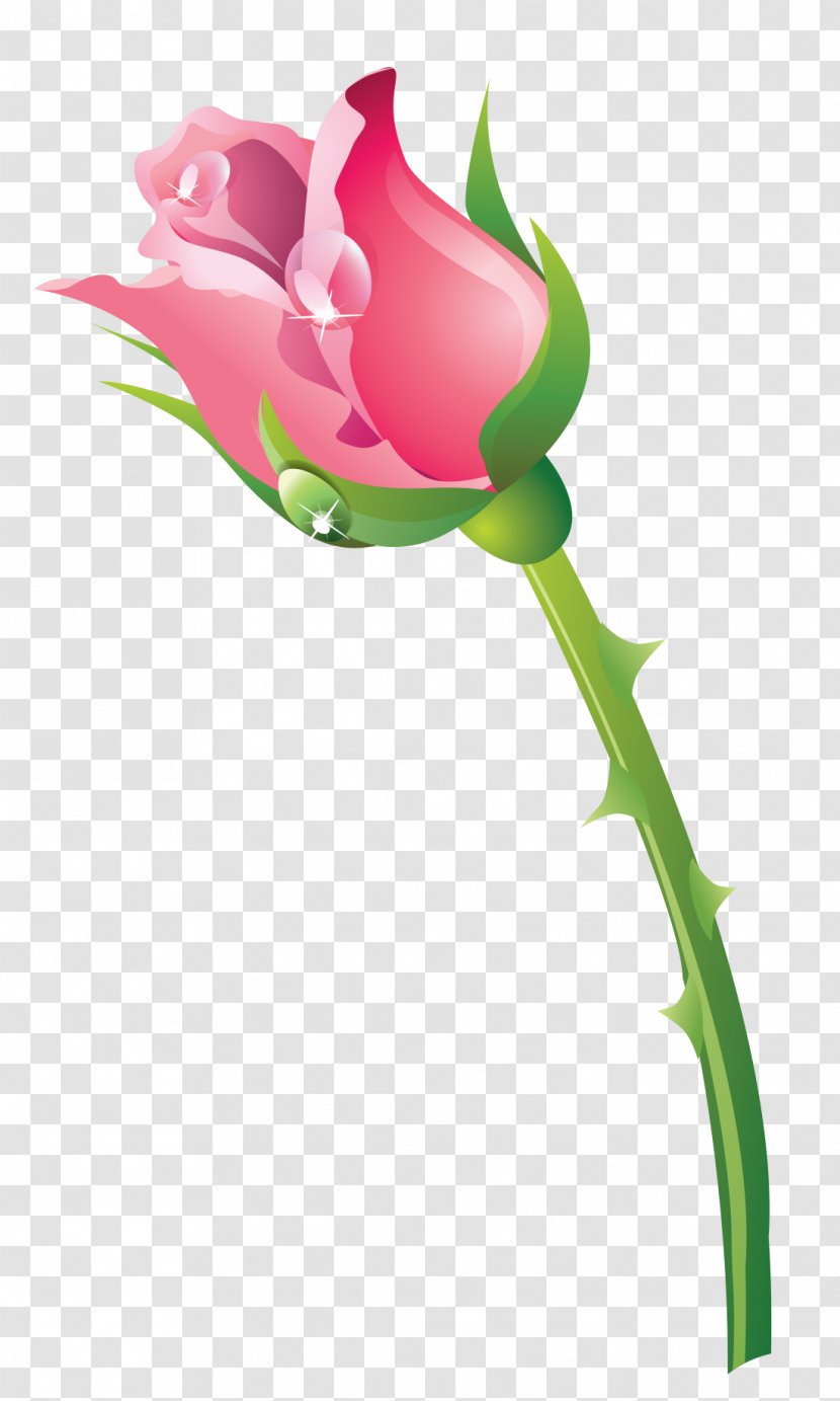 Garden Roses Cut Flowers Bud Tulip Plant Stem - Pink M - Flora Flyer Transparent PNG