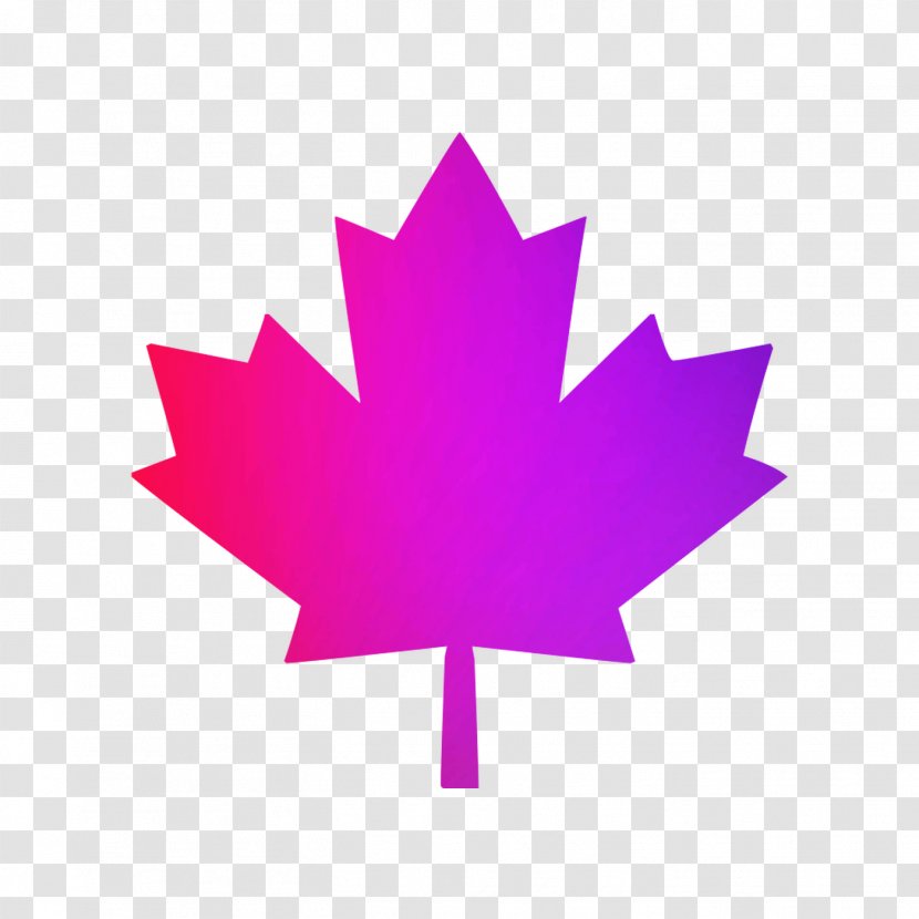 Flag Of Canada Sweatshirt Maple Leaf - Royaltyfree - Symbol Transparent PNG