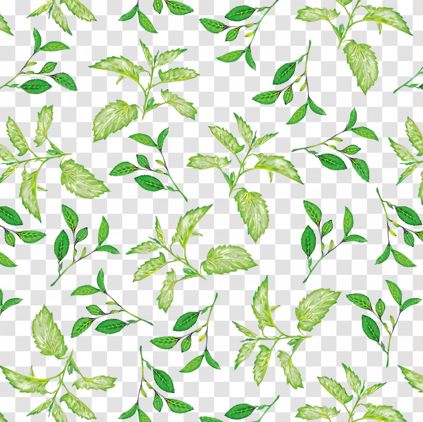 Plant Stem Leaf Flower Green Pattern Transparent PNG