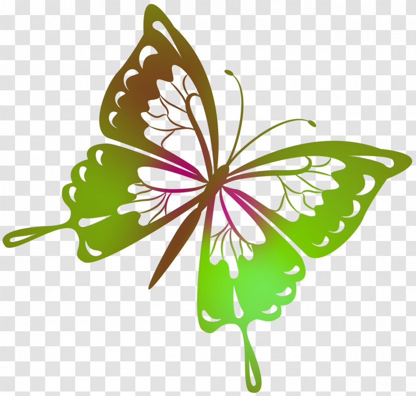 Butterfly Drawing Clip Art - Flowering Plant - Pink Transparent PNG