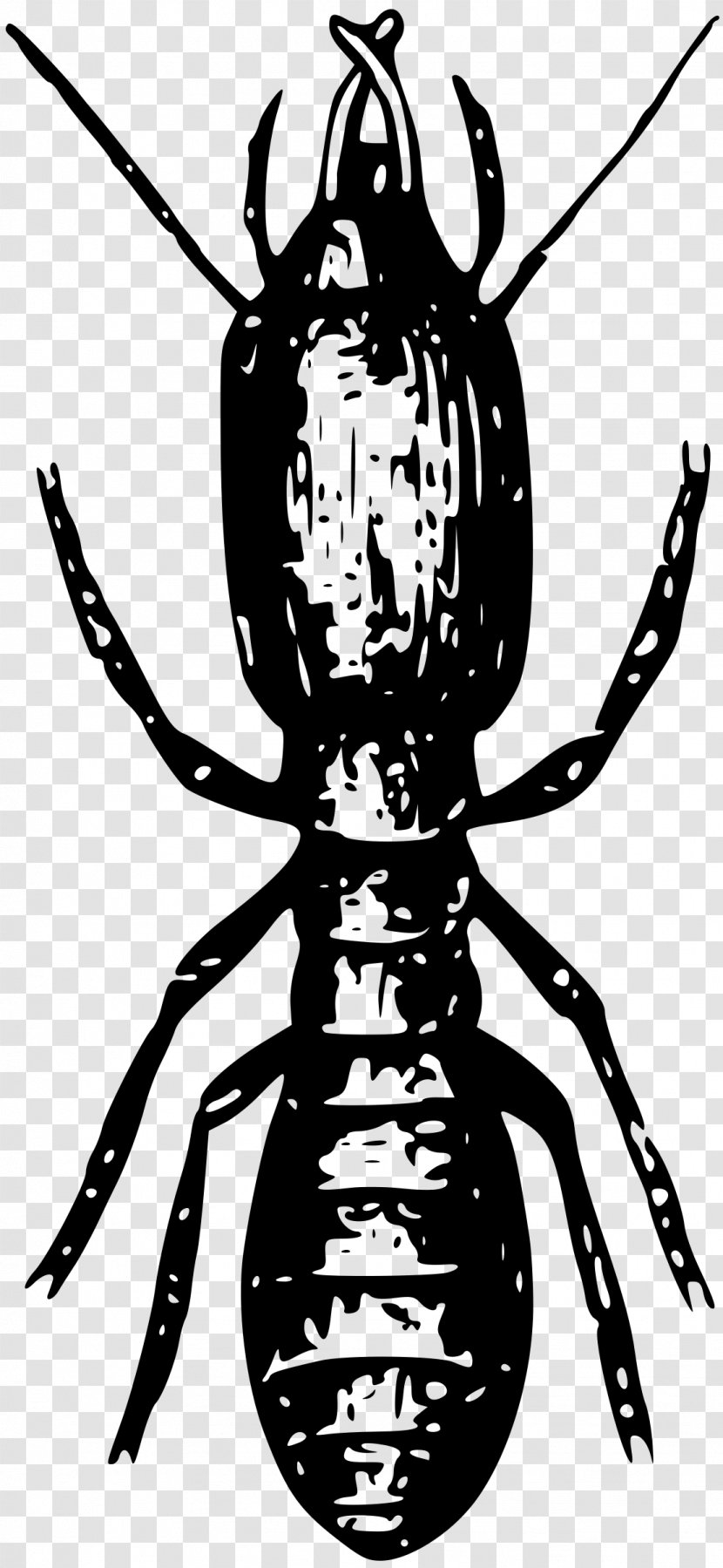 Insect Termite Clip Art - Black And White Transparent PNG