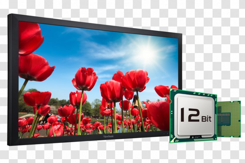 LG Television Set 1080p High-definition LED-backlit LCD - Technology - Lg Transparent PNG