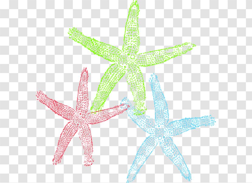 Pink Background - Starfish - Turquoise Transparent PNG