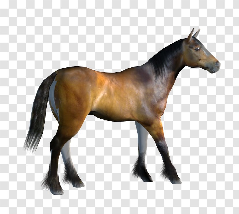 Mustang Pony Animation Clip Art - Texture Mapping - Pictures Of Animated Horses Transparent PNG