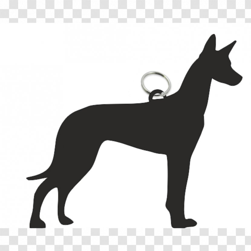 Italian Greyhound Dog Breed Pharaoh Hound T-shirt - Tshirt Transparent PNG
