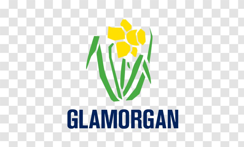 Glamorgan County Cricket Club The SSE SWALEC Championship Surrey Somerset - Live Scores Transparent PNG