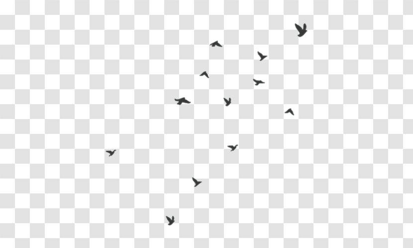 Bird Flight Flock Domestic Pigeon Swallow - Villagers Transparent PNG