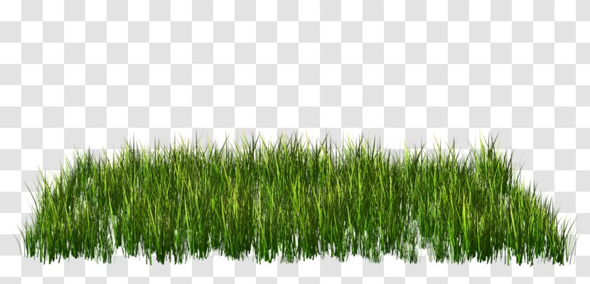 Green Grass Clip Art - Rgb Color Model Transparent PNG