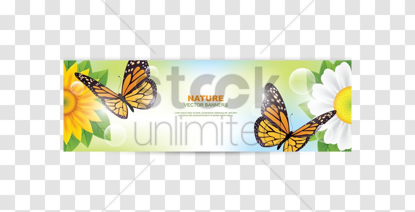 Monarch Butterfly Clip Art - Moths And Butterflies - Illustration Transparent PNG