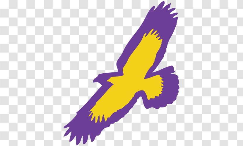 Elmira College Soaring Eagles Men's Basketball Women's Utica Transparent PNG