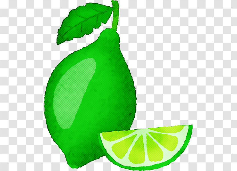 Lime Persian Lime Lemon-lime Drink Citric Acid Leaf Transparent PNG