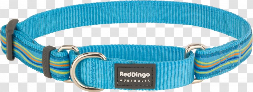 Dingo Dog Collar Martingale Poodle - Pet - Red Transparent PNG