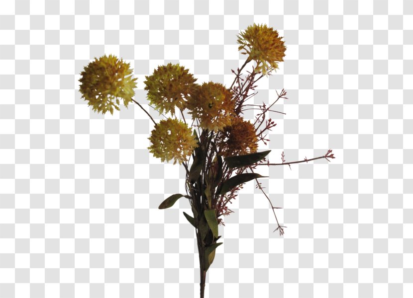 Cut Flowers Glass Plant Stem Flower Bouquet - Dandelion Transparent PNG