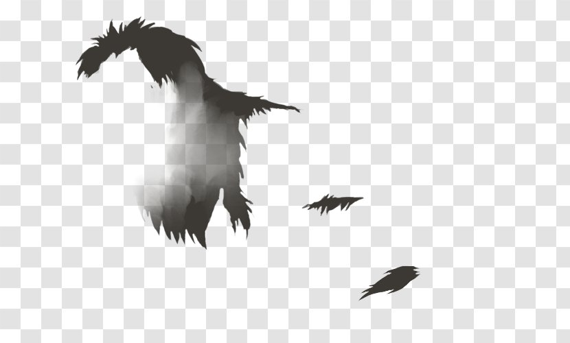 Bald Eagle Beak Vulture Feather White - Crow - Lion Mane Transparent PNG
