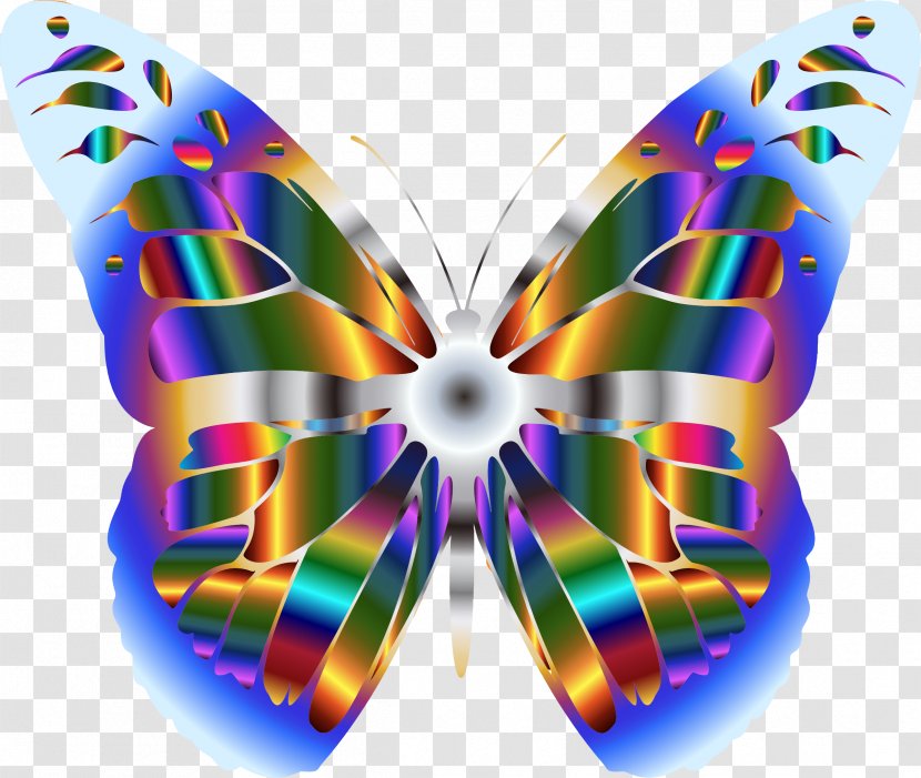 Monarch Butterfly Insect Nymphalidae Pollinator - Symmetry Transparent PNG