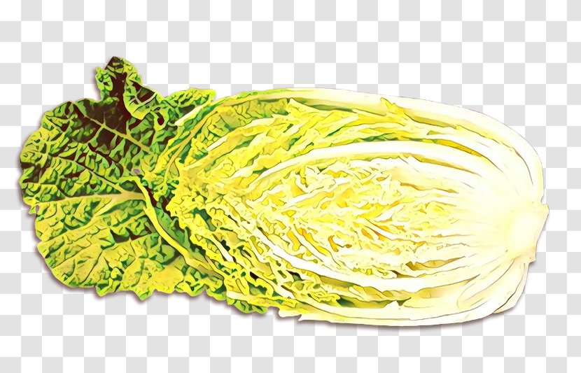 Vegetables Cartoon - Food - Iceburg Lettuce Leaf Vegetable Transparent PNG