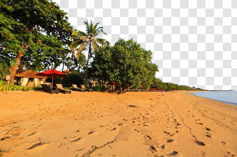 Sandy Beach - Aeolian Landform - Nusa Dua Photos Transparent PNG