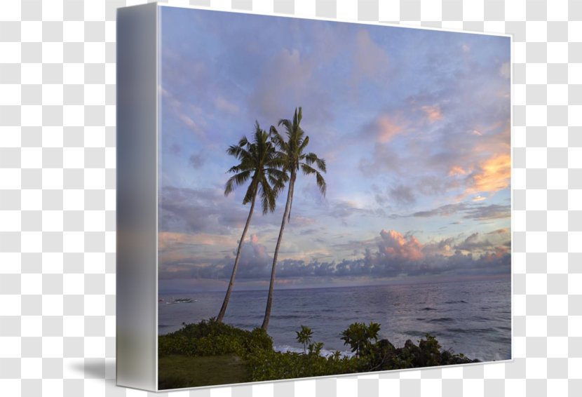 Painting Sea Energy Tree Sky Plc - Shore Transparent PNG