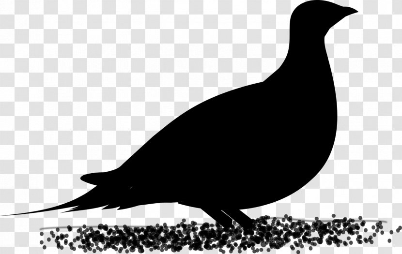 Landfowl Fauna Beak Silhouette Clip Art - Blackbird Transparent PNG