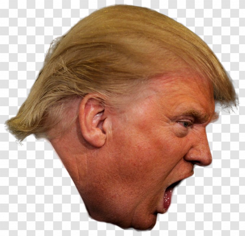 Donald Trump President Of The United States Republican Party Politics - Head - Kim Jong-un Transparent PNG