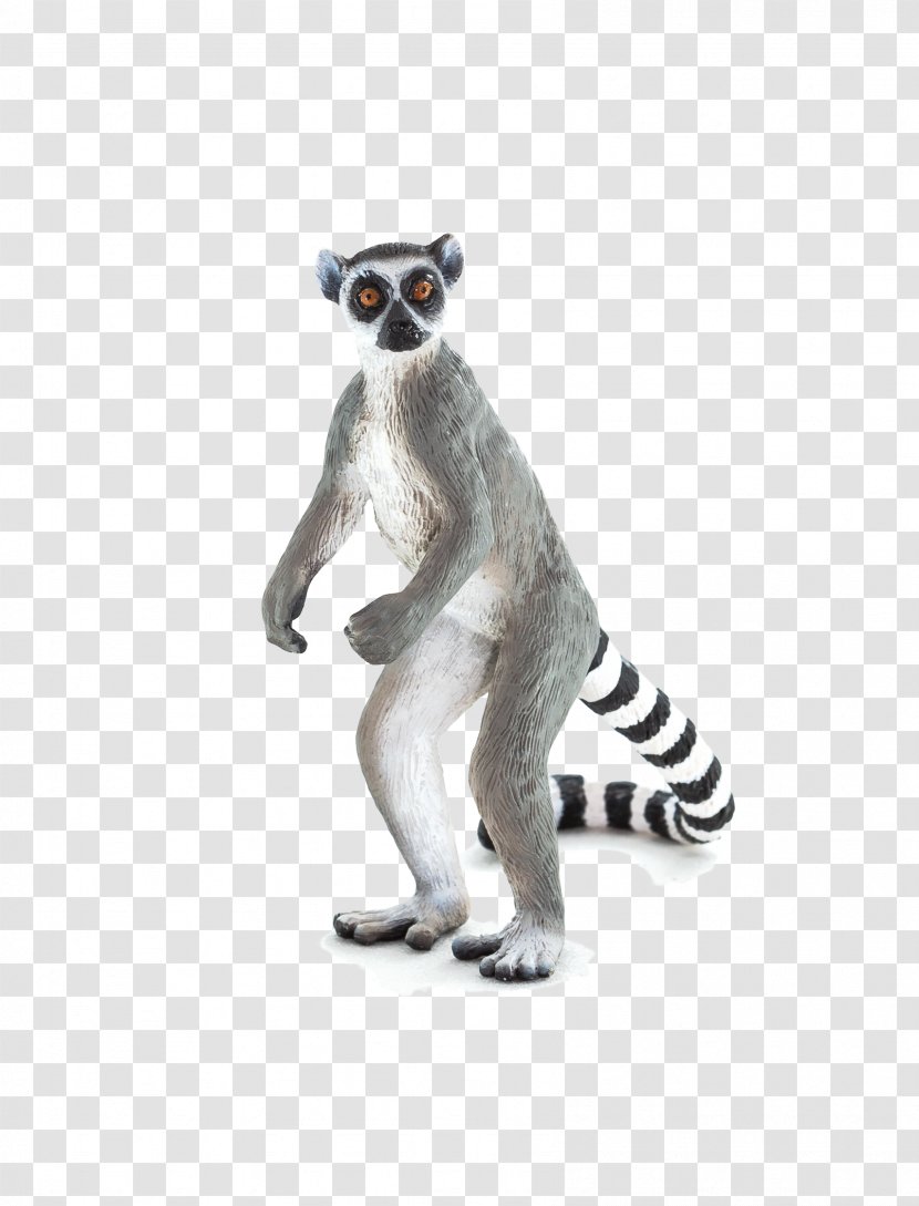 Lemurs Amazon.com Ring-tailed Lemur Cougar Wildlife - Toy Transparent PNG