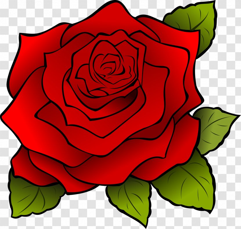 Cartoon Rose Drawing Clip Art - Rosa Centifolia Transparent PNG