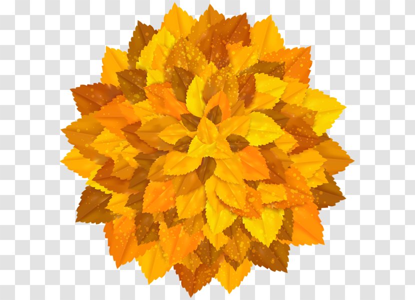 Autumn Clip Art - Leaf - Fall Transparent PNG