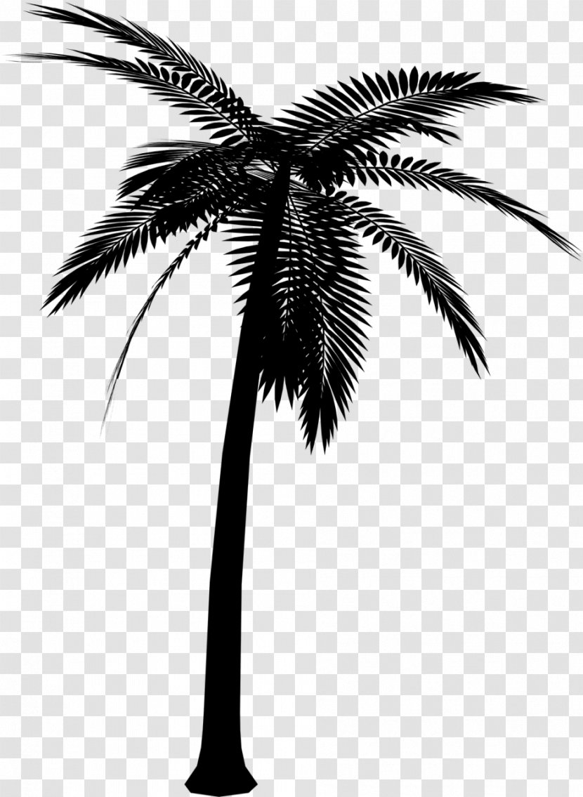 Silhouette Asian Palmyra Palm Clip Art Vector Graphics - Woody Plant Transparent PNG