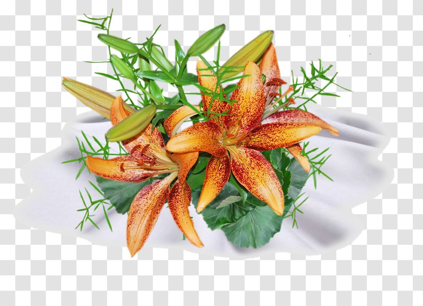 Image Vegetable Garnish Recipe Cuisine - Dish - Food Transparent PNG