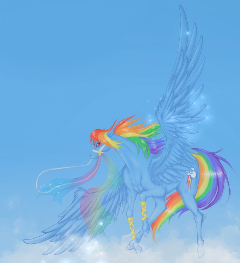 Rainbow Dash Fluttershy My Little Pony Horse - Feather - Carousel Transparent PNG