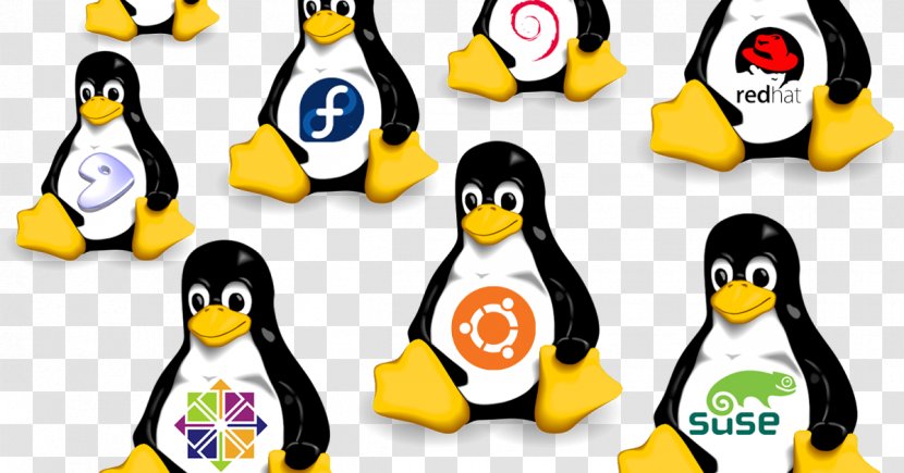 Linux Distribution Operating Systems Open-source Software Computer Transparent PNG